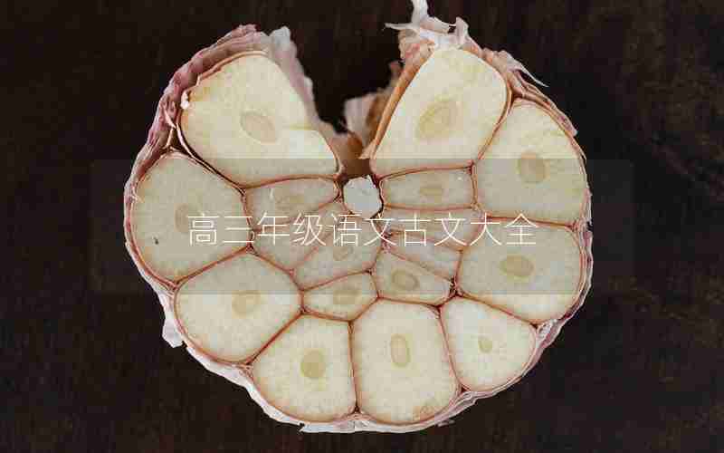 高三年级语文古文大全
