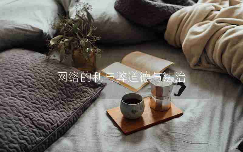 网络的利与弊道德与法治