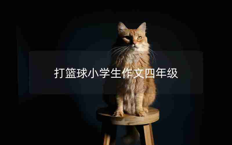 打篮球小学生作文四年级