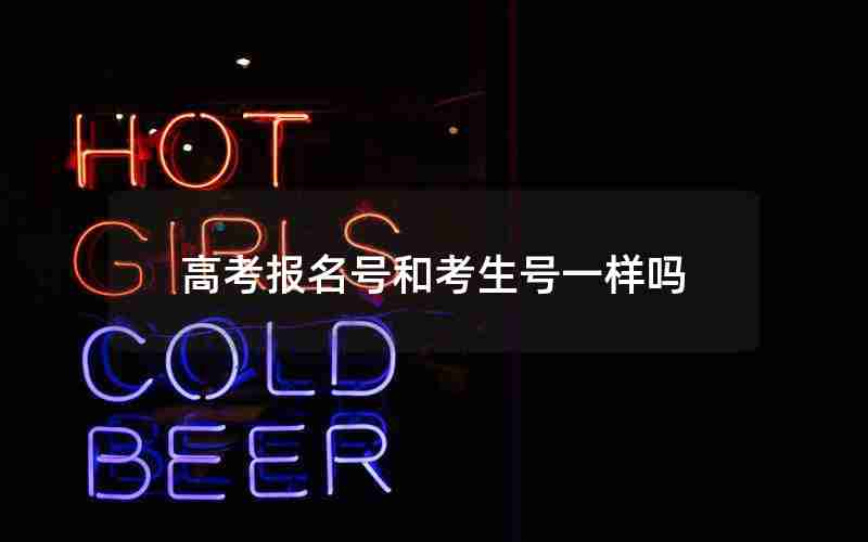 高考报名号和考生号一样吗
