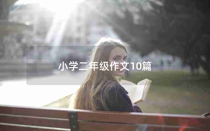 小学二年级作文10篇