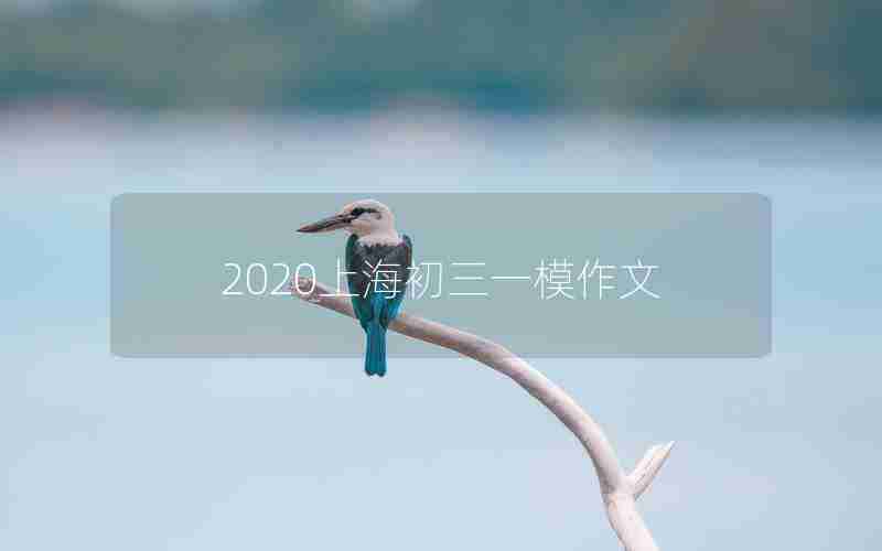 2020上海初三一模作文