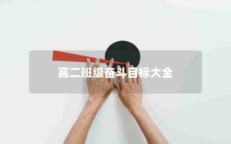 高二班级奋斗目标大全