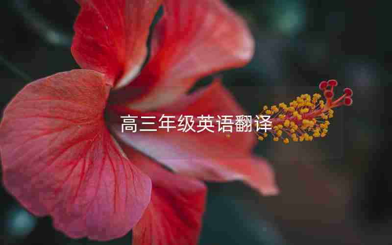 高三年级英语翻译