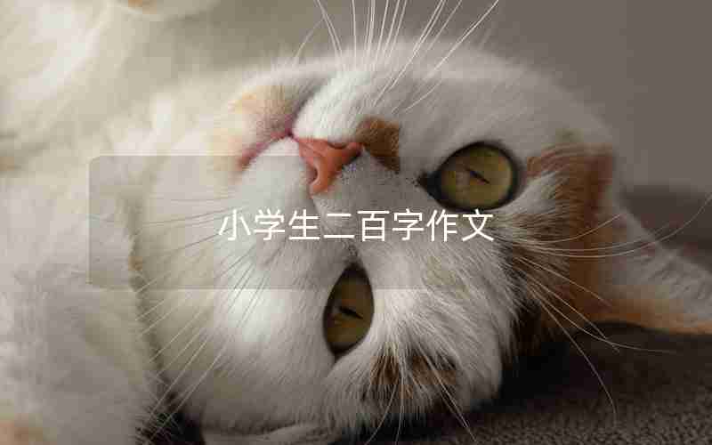小学生二百字作文