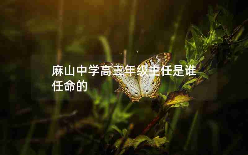 麻山中学高三年级主任是谁任命的