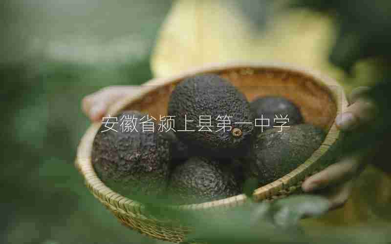 安徽省颍上县第一中学