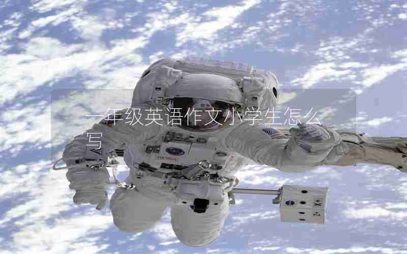 一年级英语作文小学生怎么写