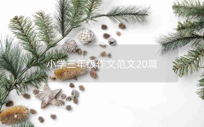 小学三年级作文范文20篇