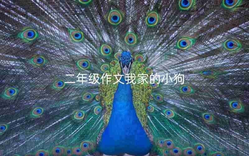 二年级作文我家的小狗
