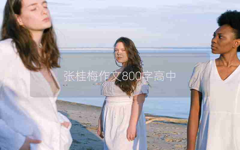 张桂梅作文800字高中