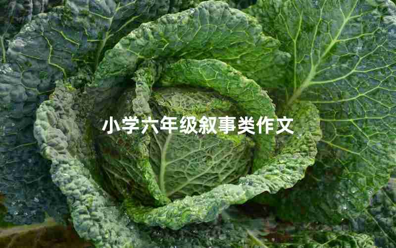 小学六年级叙事类作文