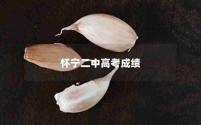 怀宁二中高考成绩