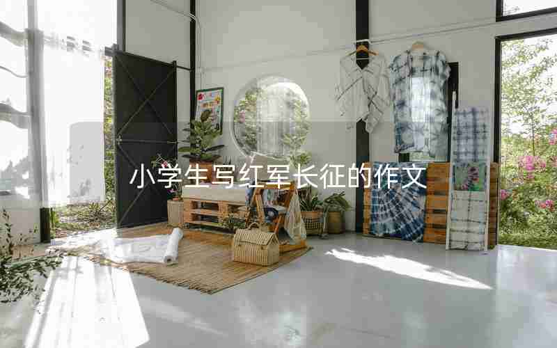 小学生写红军长征的作文
