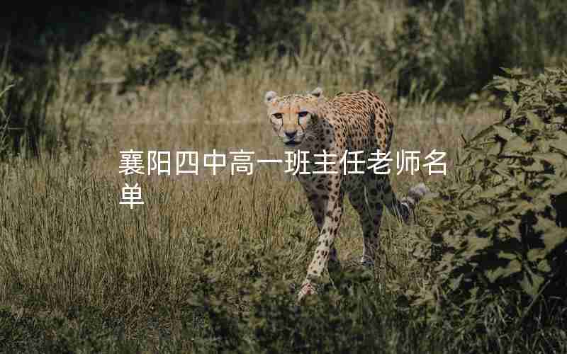 襄阳四中高一班主任老师名单