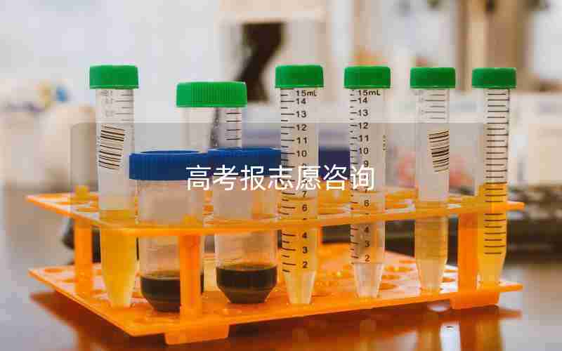 高考报志愿咨询