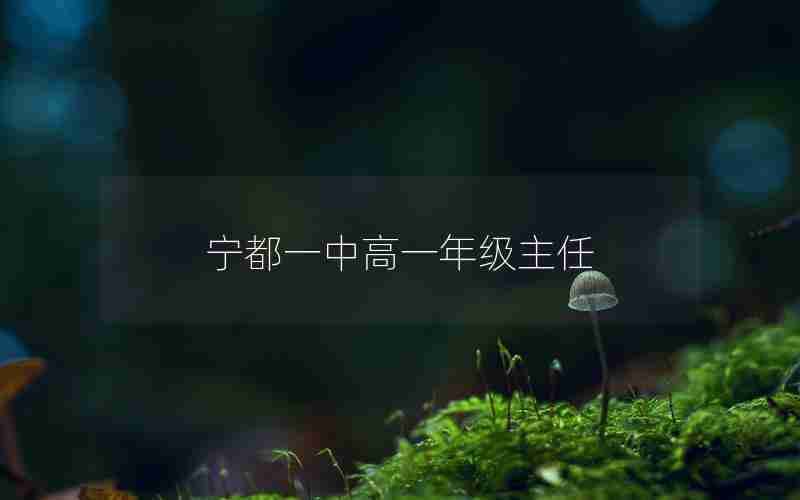 宁都一中高一年级主任