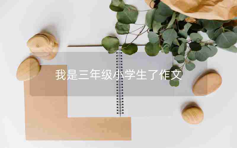 我是三年级小学生了作文