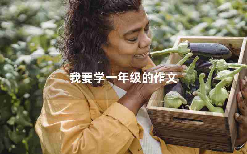我要学一年级的作文