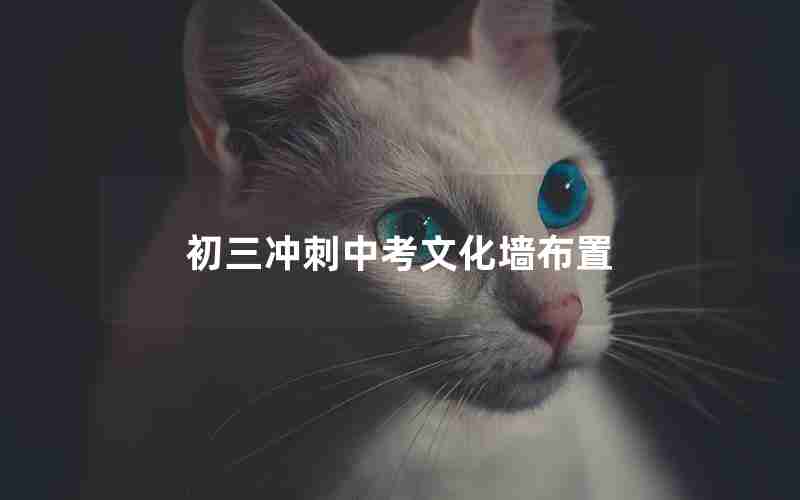 初三冲刺中考文化墙布置