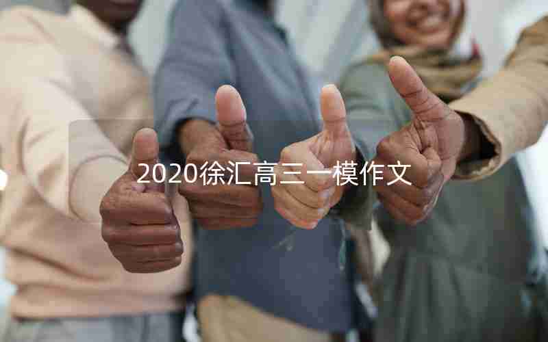 2020徐汇高三一模作文