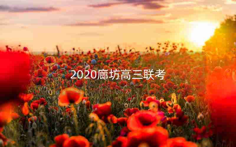 2020廊坊高三联考