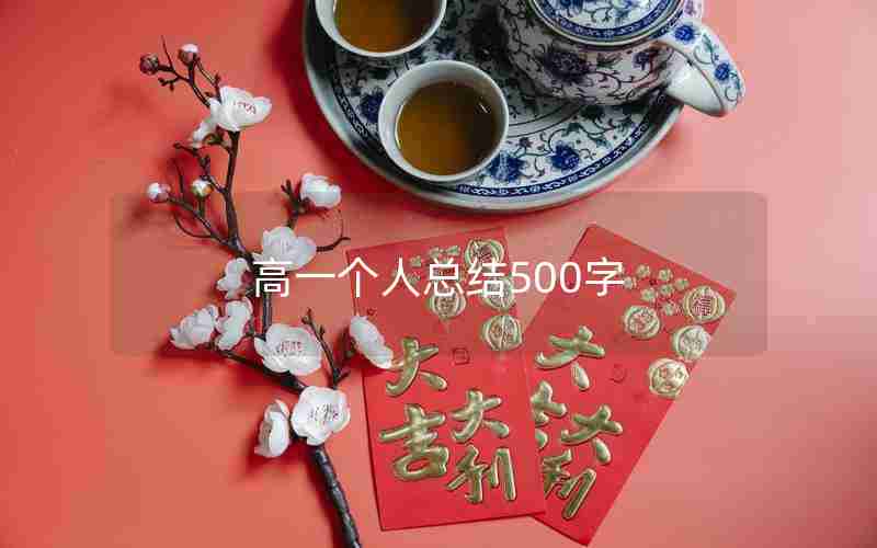高一个人总结500字