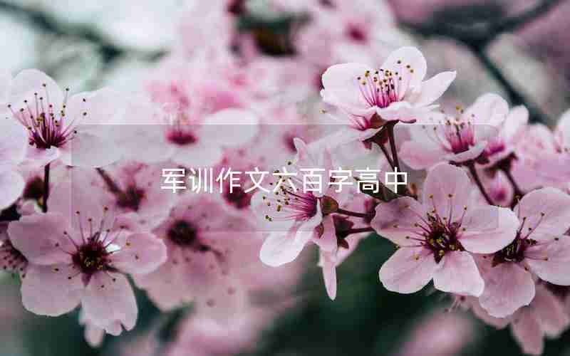 军训作文六百字高中