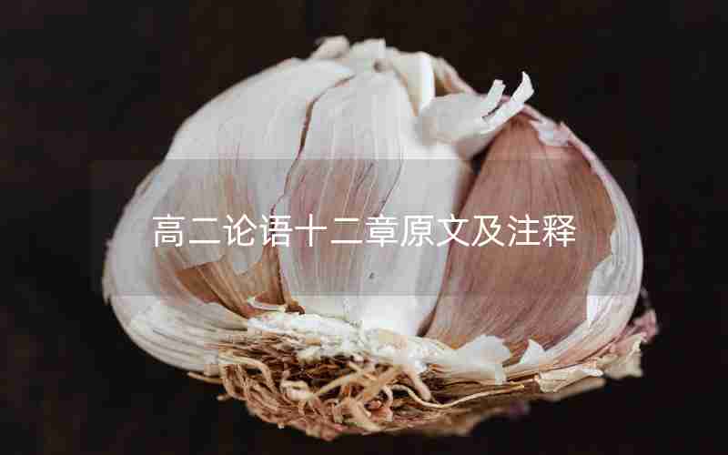 高二论语十二章原文及注释