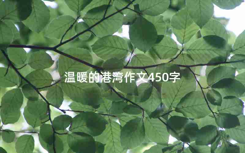 温暖的港湾作文450字