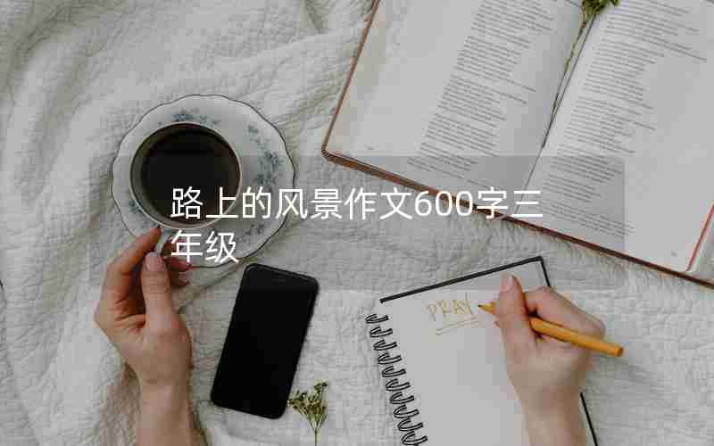 路上的风景作文600字三年级