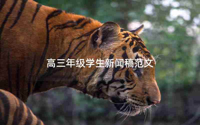高三年级学生新闻稿范文