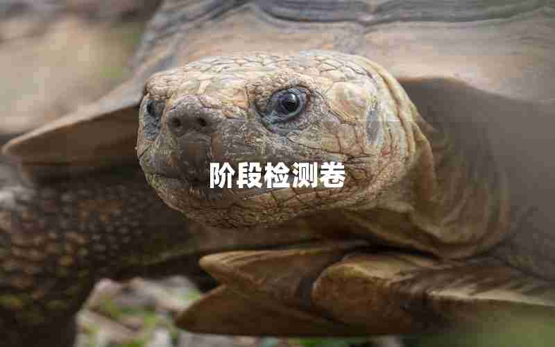 阶段检测卷