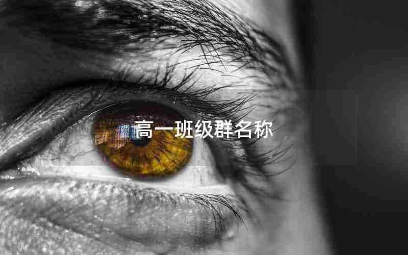 高一班级群名称