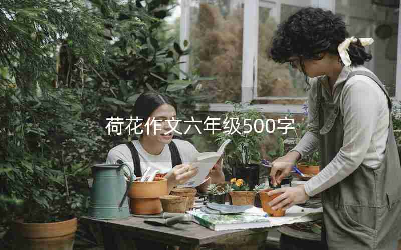 荷花作文六年级500字