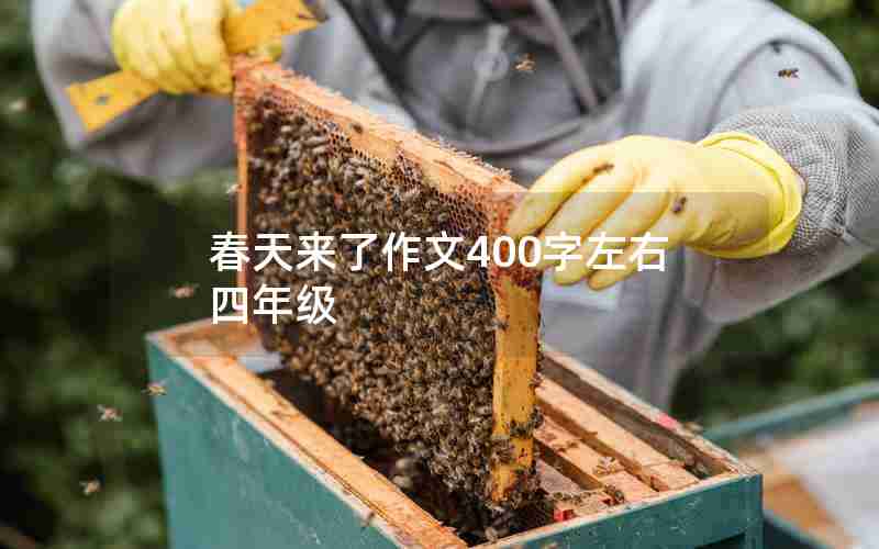 春天来了作文400字左右四年级