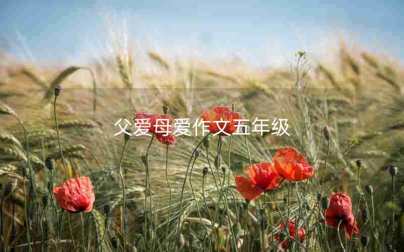 父爱母爱作文五年级
