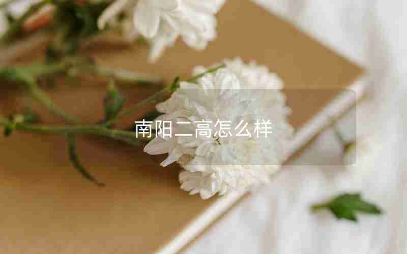 南阳二高怎么样