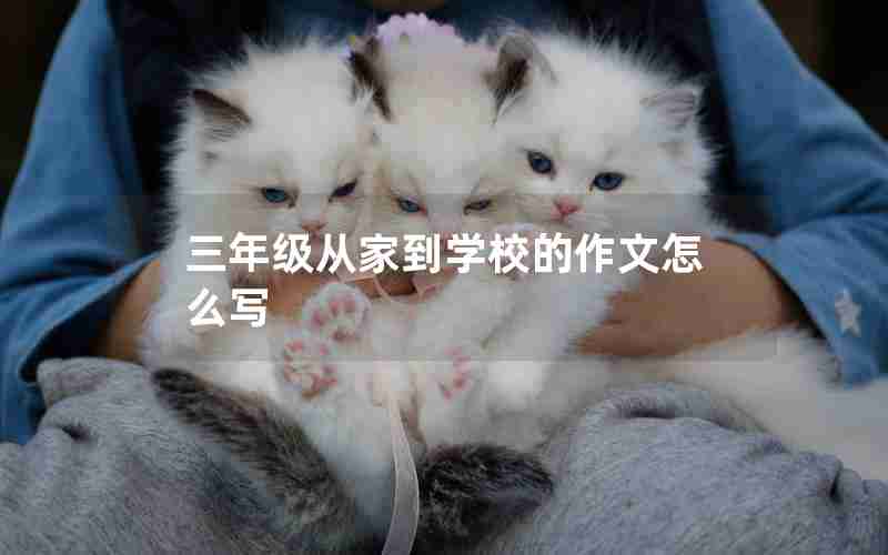 三年级从家到学校的作文怎么写