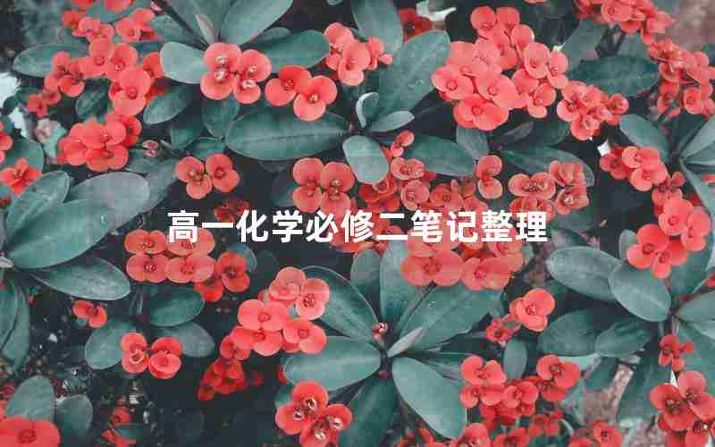 高一化学必修二笔记整理