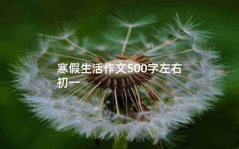 寒假生活作文500字左右初一