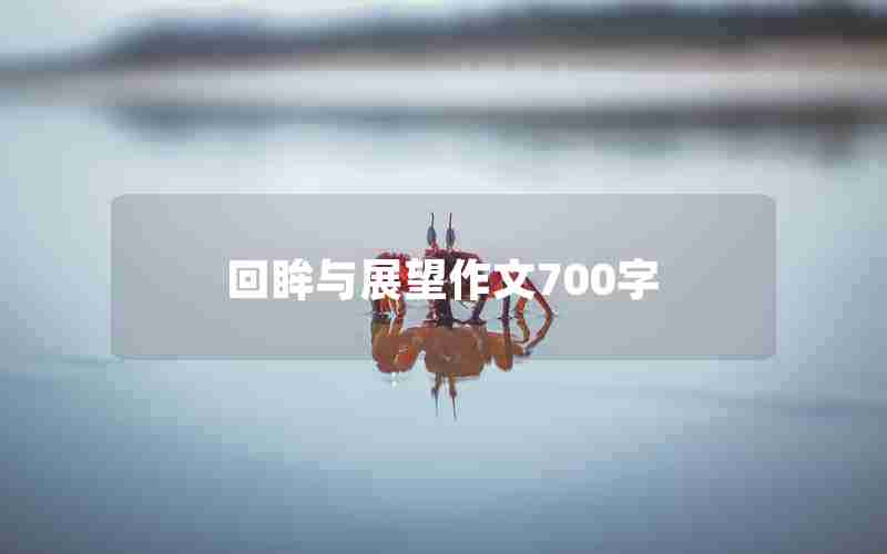 回眸与展望作文700字