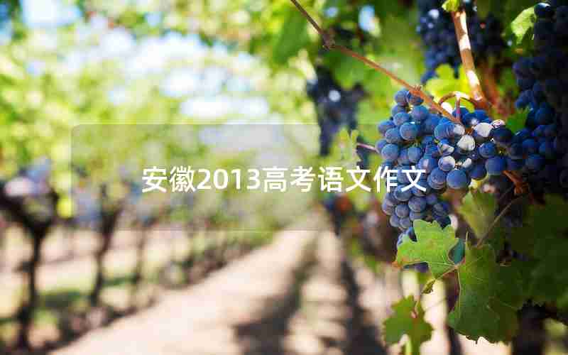 安徽2013高考语文作文