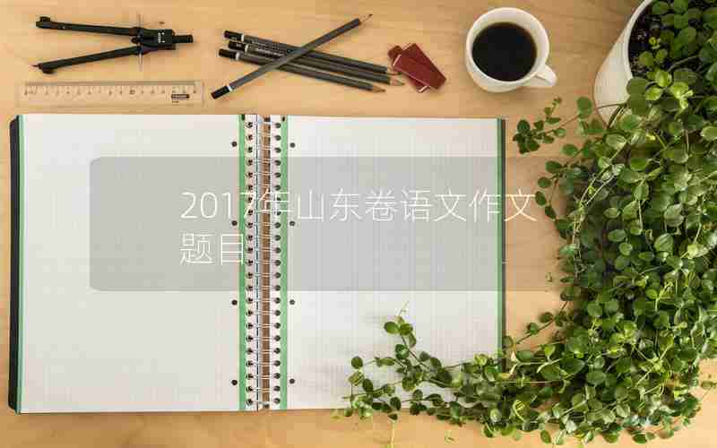 2017年山东卷语文作文题目