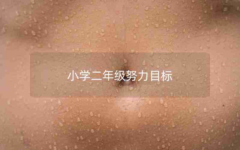 小学二年级努力目标
