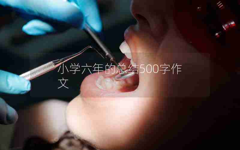 小学六年的总结500字作文