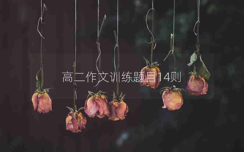 高二作文训练题目14则