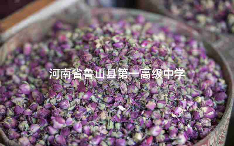 河南省鲁山县第一高级中学