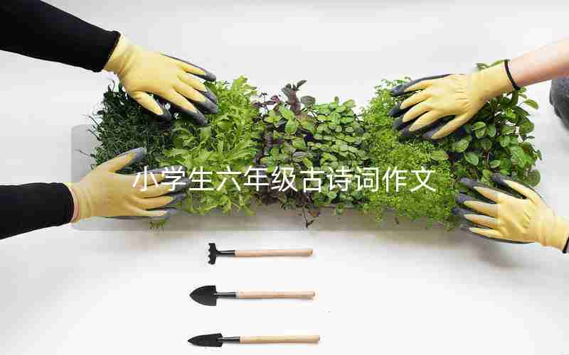 小学生六年级古诗词作文