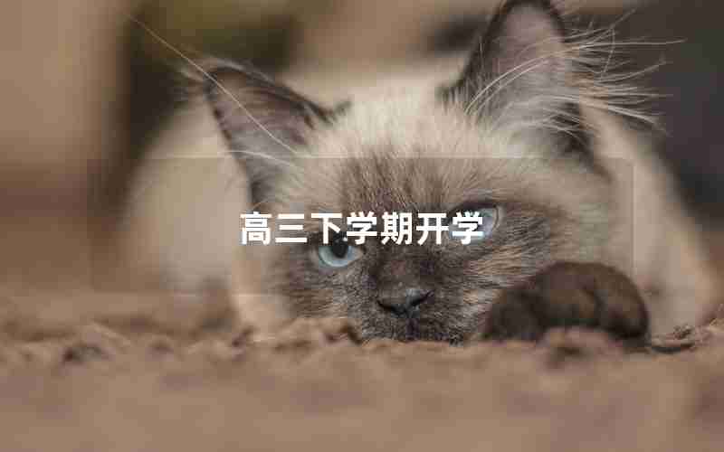 高三下学期开学